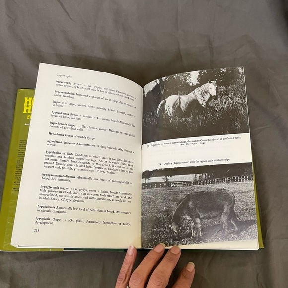 The Horse’s Health From A to Z An Equine Veterinary Dictionary 1978 - Picture 13 of 16